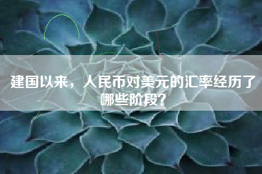 建国以来,人民币对美元的汇率经历了哪些阶段?
