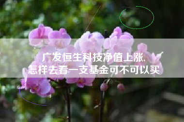 广发恒生科技净值上涨,
怎样去看一支基金可不可以买