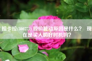 拉卡拉(300773) 股价波动原因是什么？  现在是买入的好时机吗？
