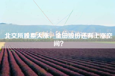 北交所股票大涨，金田股份还有上涨空间？