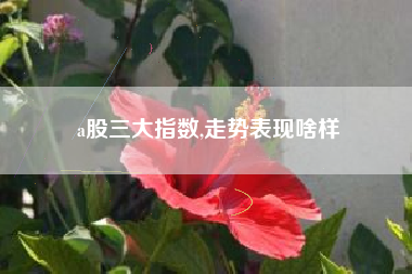 a股三大指数,走势表现啥样