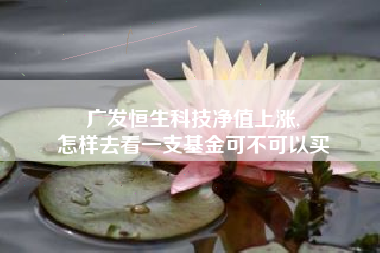 广发恒生科技净值上涨,
怎样去看一支基金可不可以买