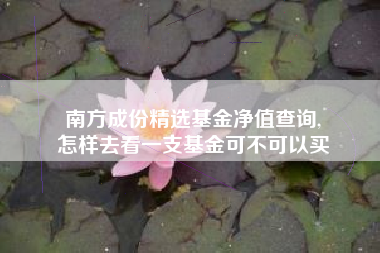 南方成份精选基金净值查询,
怎样去看一支基金可不可以买