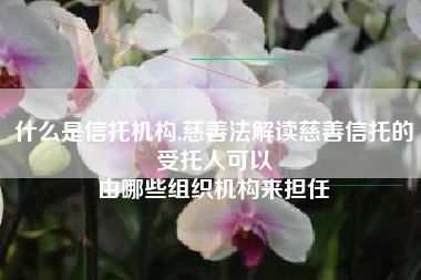 什么是信托机构,慈善法解读慈善信托的受托人可以
由哪些组织机构来担任 什么是信托机构,慈善法解读慈善信托的受托人可以
由哪些组织机构来担任