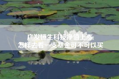 广发恒生科技净值上涨,
怎样去看一支基金可不可以买