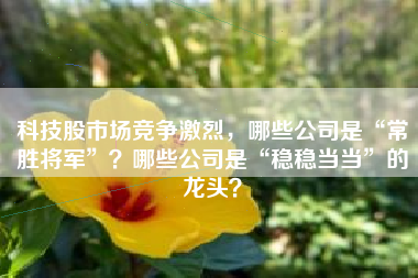 科技股市场竞争激烈，哪些公司是“常胜将军”？哪些公司是“稳稳当当”的龙头？
