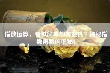 指数运算,看似简单却有玄机?揭秘指数函数的奥秘!