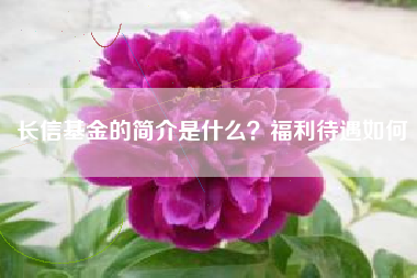 长信基金的简介是什么？福利待遇如何