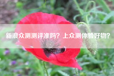 新浪众测测评准吗？上众测体验好物？