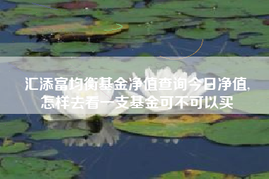 汇添富均衡基金净值查询今日净值,
怎样去看一支基金可不可以买