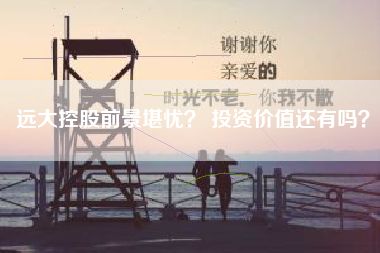 远大控股前景堪忧？ 投资价值还有吗？