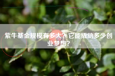 紫牛基金规模有多大？它能撬动多少创业梦想？