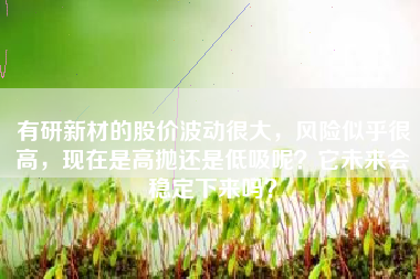 有研新材的股价波动很大，风险似乎很高，现在是高抛还是低吸呢？它未来会稳定下来吗？