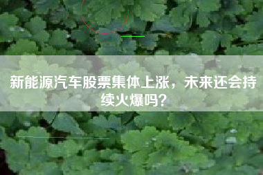 新能源汽车股票集体上涨，未来还会持续火爆吗？