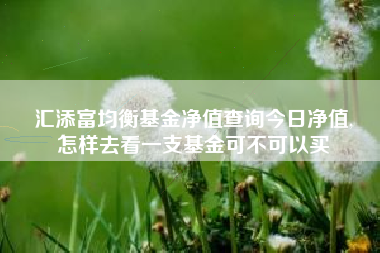 汇添富均衡基金净值查询今日净值,
怎样去看一支基金可不可以买