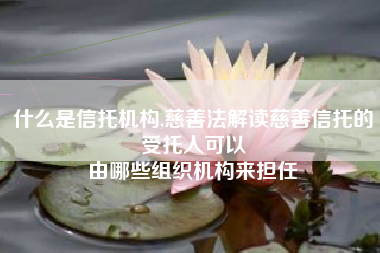 什么是信托机构,慈善法解读慈善信托的受托人可以
由哪些组织机构来担任 什么是信托机构,慈善法解读慈善信托的受托人可以
由哪些组织机构来担任