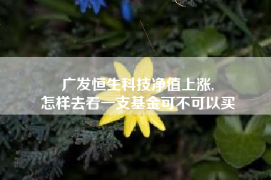 广发恒生科技净值上涨,
怎样去看一支基金可不可以买