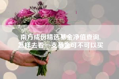 南方成份精选基金净值查询,
怎样去看一支基金可不可以买