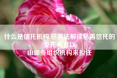 什么是信托机构,慈善法解读慈善信托的受托人可以
由哪些组织机构来担任 什么是信托机构,慈善法解读慈善信托的受托人可以
由哪些组织机构来担任