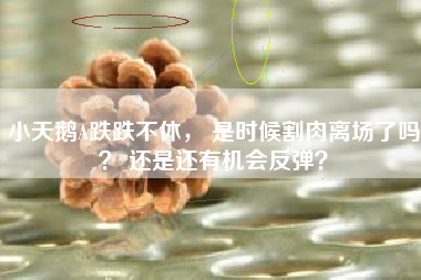 小天鹅A跌跌不休， 是时候割肉离场了吗？ 还是还有机会反弹？