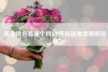 基金排名看哪个网站,还应该考虑哪些因素