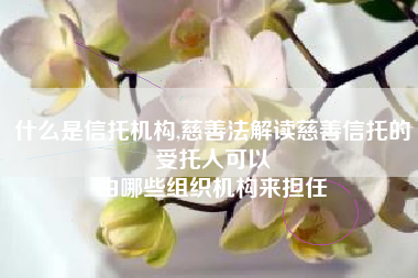 什么是信托机构,慈善法解读慈善信托的受托人可以
由哪些组织机构来担任 什么是信托机构,慈善法解读慈善信托的受托人可以
由哪些组织机构来担任