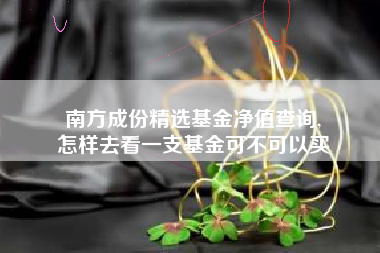 南方成份精选基金净值查询,
怎样去看一支基金可不可以买