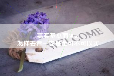 嘉实基本面50 a,
怎样去看一支基金可不可以买