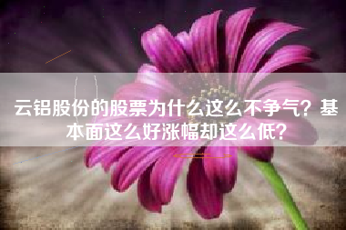 云铝股份的股票为什么这么不争气？基本面这么好涨幅却这么低？