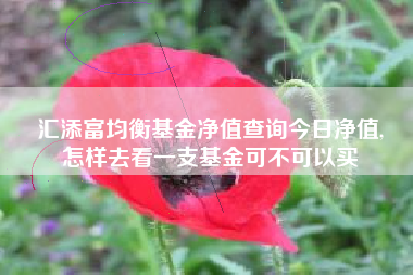 汇添富均衡基金净值查询今日净值,
怎样去看一支基金可不可以买