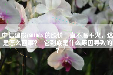 中信建投(601066)的股价一直不温不火，这是怎么回事？  它到底是什么原因导致的？