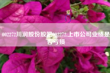 002272川润股份股吧002272,上市公司业绩是否亏损