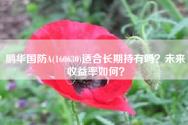 鹏华国防A(160630)适合长期持有吗？未来收益率如何？