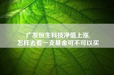 广发恒生科技净值上涨,
怎样去看一支基金可不可以买