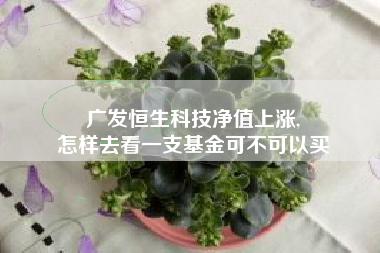 广发恒生科技净值上涨,
怎样去看一支基金可不可以买