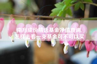南方成份精选基金净值查询,
怎样去看一支基金可不可以买