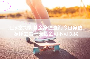 汇添富均衡基金净值查询今日净值,
怎样去看一支基金可不可以买