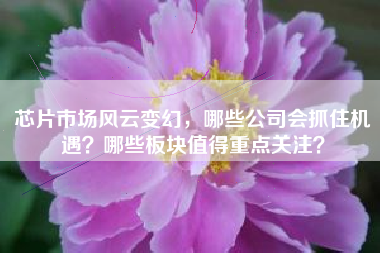 芯片市场风云变幻，哪些公司会抓住机遇？哪些板块值得重点关注？