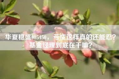 华夏稳盛005450，亏成这样真的还能忍？基金经理到底在干嘛？