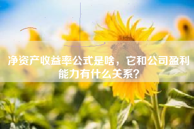 净资产收益率公式是啥，它和公司盈利能力有什么关系？