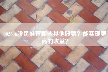 002646股民推荐哪些其他股票?能实现更高的收益?