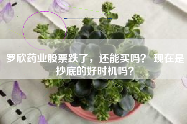 罗欣药业股票跌了，还能买吗？ 现在是抄底的好时机吗？