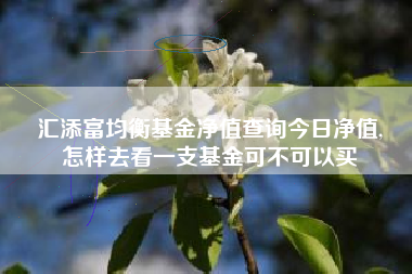 汇添富均衡基金净值查询今日净值,
怎样去看一支基金可不可以买