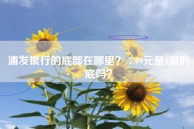 浦发银行的底部在哪里？ 7.99元是4浪的底吗？