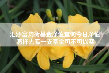 汇添富均衡基金净值查询今日净值,
怎样去看一支基金可不可以买