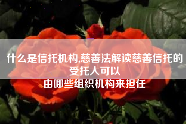 什么是信托机构,慈善法解读慈善信托的受托人可以
由哪些组织机构来担任 什么是信托机构,慈善法解读慈善信托的受托人可以
由哪些组织机构来担任