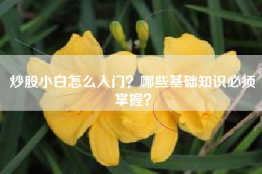 炒股小白怎么入门？哪些基础知识必须掌握？