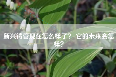 新兴铸管现在怎么样了？ 它的未来会怎样？
