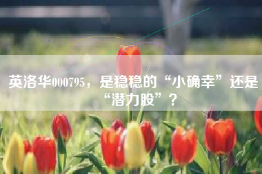 英洛华000795，是稳稳的“小确幸”还是“潜力股”？