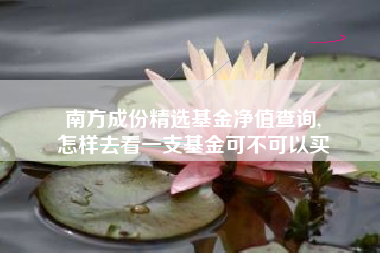 南方成份精选基金净值查询,
怎样去看一支基金可不可以买